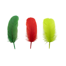 Feathers Christmas Asst 35g - Default Image