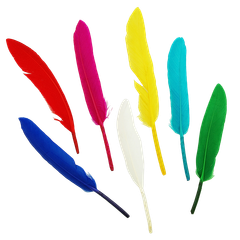 Feathers Mixed Brights 10g
