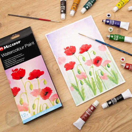 6rqavaffrd59d95vlvgsgh7n5e-12290-Micador-Watercolour-Paint-12ml-12pc-2.jpg