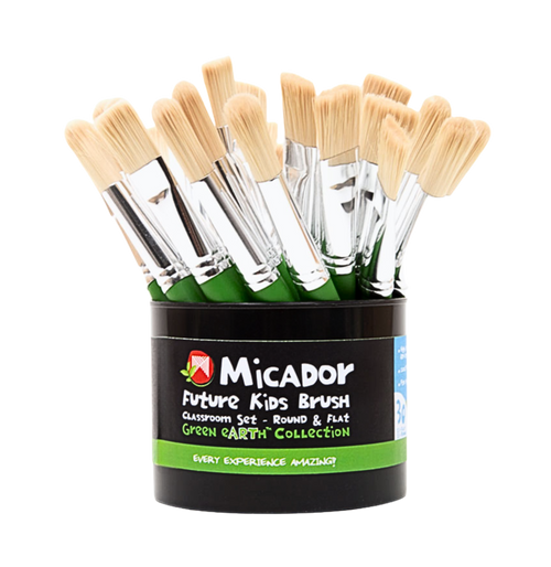 1bv07i2u0l6e5btfj4jv8j747c-12639_Micador_Paint_Brush_Class_Set_Assorted_30pc_1.png