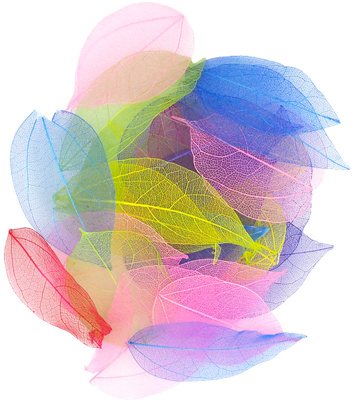ajcadr2un10or377srhv2f997e-13562_Skeleton_Leaves_Assorted_80pc_Product_1.png