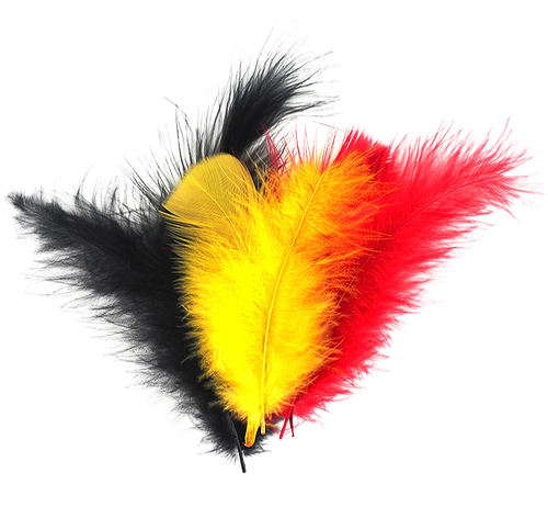 1fn1309lj536f0uhm6jm8m1b26-13620_Feathers_Our_Country_25g.png
