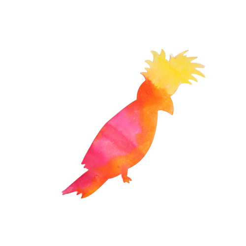 3rvmopp1fh2i93l3qc6pjn607o-14618-Bertie-colour-diffusing-australian-animals-lifestyle-cockatoo-pink-orange-yellow-1.png