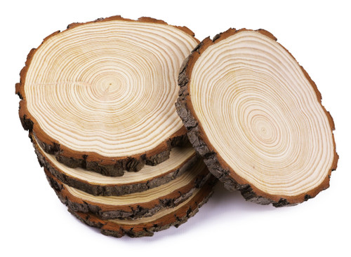 bttcidbqut7o71nbjs1g5cac7e-14631-Natural-Wood-Slices-Large-18-20cm-5pc-SuppIm-1.jpg
