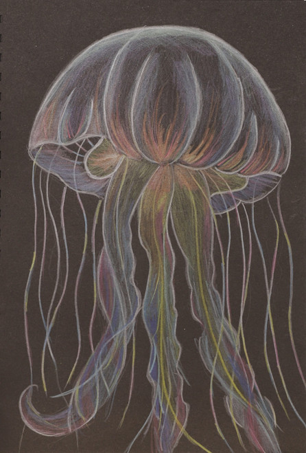 ii7jln1p5d0352rjeo6ot6s604-14729-14727-14726-jellyfish-drawing.jpg