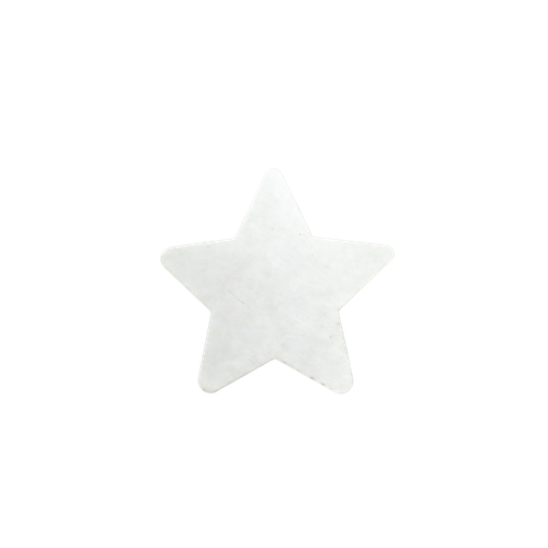 3ug399se697u9ecnbhhe2aqf2f-14820-Bertie-Magnetic-Canvas-Star-15cm-10pc-3.png