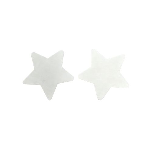 s548sm1k8t2on7i126abkvgq3g-14820-Bertie-Magnetic-Canvas-Star-15cm-10pc-1.png