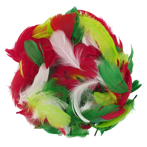 06jld0obnh483atf0cr09dj678-14860-Christmas-Feathers-Asst-35g-Ribtex-2-Web.png