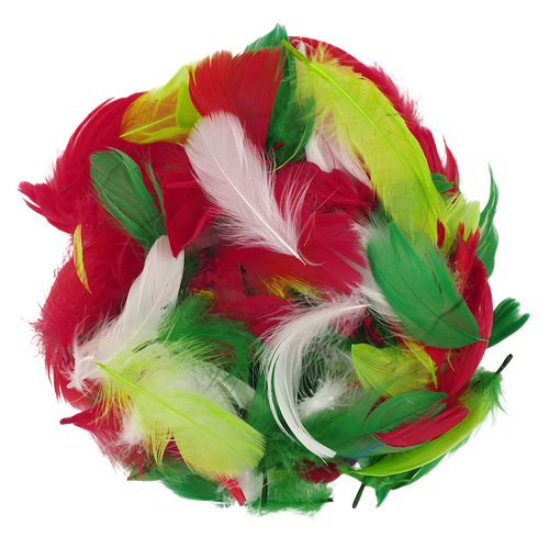 06jld0obnh483atf0cr09dj678-14860-Christmas-Feathers-Asst-35g-Ribtex-2-Web.png