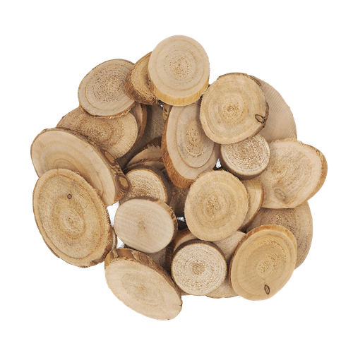 l7fncfpvq16f59v41110tlsi7c-14863-Wood-Slices-Assorted-500g-Ribtex-1-Web.png
