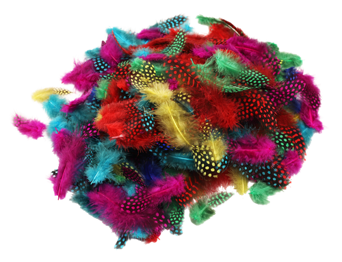 3psh521n6918535ou4u5kjut2d-15146-Bertie-Guinea-Fowl-Feathers-Assorted-Colours-25g-3-web.png