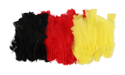i1mfk5rpvh4e5f25j7tj69e105-15148-Bertie-Coloured-Feathers-Our-Country-30g-1-web.png