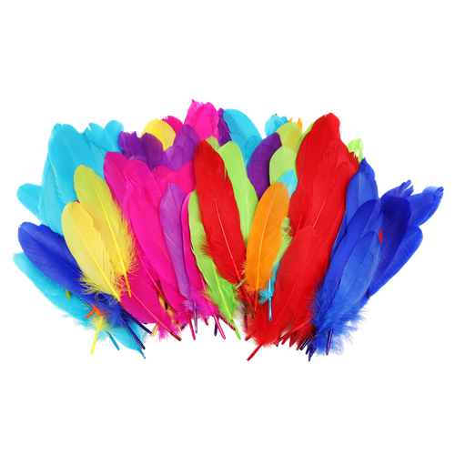 b9iqn3gfq94of1o2331ipqfq34-15149-Bertie-Quill-Feathers-Assorted-Colours-60g-3-Edited-web.png