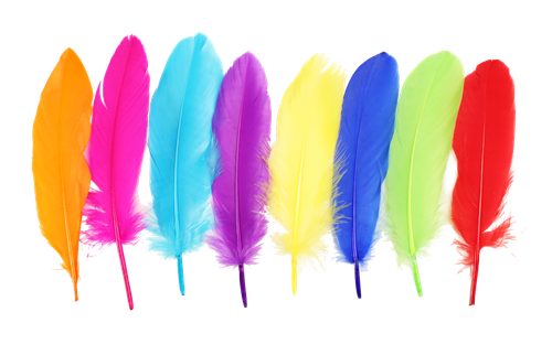 bf43g9f93t70n4n34o14co5d6g-15149-Bertie-Quill-Feathers-Assorted-Colours-60g-4-web.png