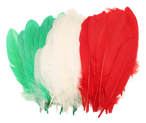 flohga9smp723090ifnq5vn64k-15150-Bertie-Quill-Feathers-Christmas-Colours-30g-1-web.png