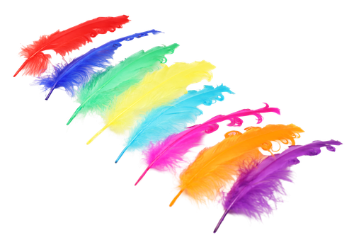 12vo47t7jt2ch3nvn9r7gsju56-15152-Bertie-Fancy-Ruffle-Feathers-Assorted-Colours-50pc-3.png