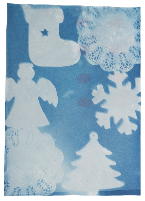 4m2j03q5al1jr9nf6olhbonb33-15165-Bertie-Cyanotype-Paper-A4-20sht-1-web.png