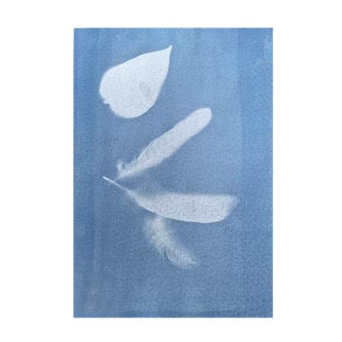 t2nkl1dpbh7opb6q37f53l6v7o-15165-Bertie-Cyanotype-Paper-A4-20sht-SHJ-2-Web.png