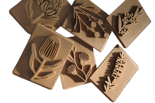 4ohtuij1u95k72npk9iv635q0u-15240-Australian-Native-Flowers-Eco-Stamp-Set-6pc-1.png