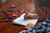 itorspf6tl5qr9k6n511krtt5r-12520-FriXion-Homework.jpg