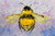 gjk6g1qhbd21tf4bl1jopfac6g-11369_Bertie_School_Acrylic_Paint_Primary_Pack_Lifestyle.jpg