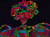 55bf90gikh1rh78c8sjgnmch7o-13769-Scratch-Art-In-House-Lifestyle-1.png