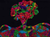 jng0eg69hl5311o235m6qbja6h-13769-Bertie-scratch-art-paper-lifestyle-tree.png