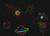 r7305tpej56vb5m0873tjvn116-13769-Bertie-scratch-art-paper-lifestyle-space-en.jpg