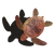 t9nu3i3irt76n5o9k1pdid7a45-14227-Scratch-Art-Australian-Animals-Lifestyle-turtle.png
