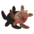 t9nu3i3irt76n5o9k1pdid7a45-14227-Scratch-Art-Australian-Animals-Lifestyle-turtle.png