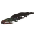 973hml7gpp5ij9kmlngo599j3e-14228-Scratch-Art-Animals-lifestyle-croc.png