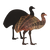 pl2pue79rd3p79f1e55mfpvo5g-14227-Scratch-Art-Australian-Animals-Lifestyle-emu.png