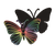 ni2k21fivt5ln8ihu50f2kbh31-14229-Scratch-Art-Flowers-and-Butterflies-butterfly-1.png