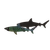 4de5j5so650kdajpernkc6362n-14231-Scratch-Art-Marine-Life-lifestyles-shark-2.png