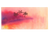 2ak2lor9p90a74pd01bmor0p1m-14620-14621-14622-bertie-stack-and-seal-watercolour-artwork-palm-trees-1.png