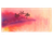 2ak2lor9p90a74pd01bmor0p1m-14620-14621-14622-bertie-stack-and-seal-watercolour-artwork-palm-trees-1.png