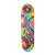 dig3t4cdh90l3er8o4ajqc8500-14698-Bertie-Decorative-Wooden-Skateboard-Deck-Large-20x72cm-Artwork-1-Web.png