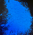 085osecgep3ld6lrktotl48573-14754-Bertie-Tempera-powder-fluoro-blue-on-black-glow.png