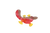 s57bu3jibd5t14ona4ri3g822k-14618-Bertie-colour-diffusing-australian-animals-lifestyle-platapus-red-brown-yellow-1.png