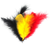 1fn1309lj536f0uhm6jm8m1b26-13620_Feathers_Our_Country_25g.png