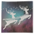jt1pt9un351sh4u40h54dcph7p-15009-15007-Ombre-Glitter-Card-Asst-A4-250gsm-24sht-1.png