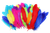b9iqn3gfq94of1o2331ipqfq34-15149-Bertie-Quill-Feathers-Assorted-Colours-60g-3-web.png
