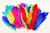 t1veb0eknh347c23odlp7k5d14-15149-Bertie-Quill-Feathers-Assorted-Colours-60g-3.jpg