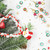 g4rou3s6a50ohb2ojv27vrj60n-15212-Metallic-Star-Beads-Christmas-Colours-60pc-Ribtex-4.jpg