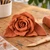 mag9jpnnqh6a37okneuopqau5u-15441-15440-Das-Air-Dry-Clay-Teracotta-Ai-1-Web.png