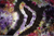l744sihd3l5ilbjgp1tvbp1339-11975_Procion_Group_Lifestyle-3.webp