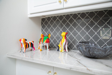 Stripe Dogs Back In stock , New collection available for first time! Stripe Dogs Back In stock , New collection available for first time!