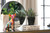 Interior Illusions Plus Artist Chihuahua 10" tall