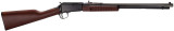 Henry Pump Action Octagon Rifle .22LR – The Outdoorsman Canada