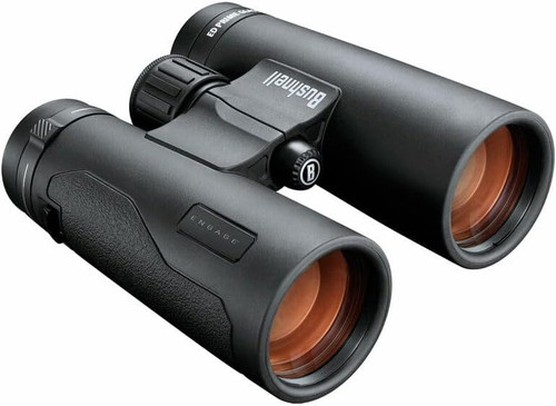 Angled top view of black roof prism binoculars with amber coated lenses on a clean white background